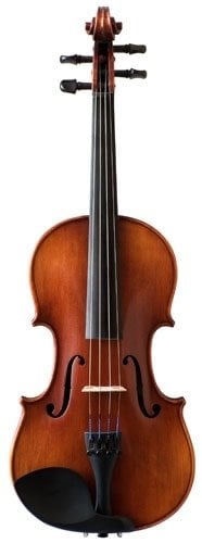 Violon Eastman Série 105 4/4