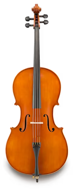 Andreas Eastman VC200 3/4 Cello Kit