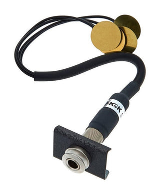 Microphone K&K Big Twin