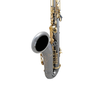 Saxophone Ténor Selmer STS511B