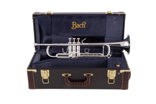 Trompette Sib Bach Stradivarius 170S43GYR