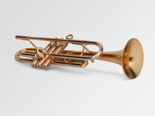 Trompette Sib Adams A4-LT Custom ML