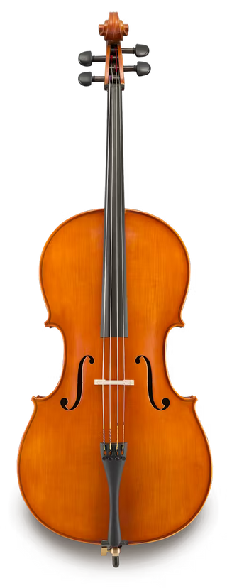 Eastman #200 1/2 Cello Kit