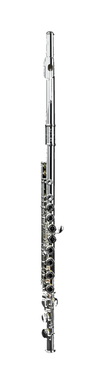 Di Zhao DZ-100 COA Student Flute