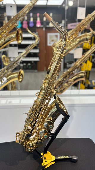 Saxophone Alto Carrera Usagé