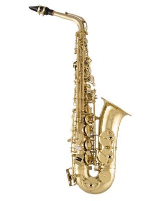 Selmer SAS711 Alto Saxophone