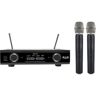 Système de 2 Micro Voix Sans Fil CAD