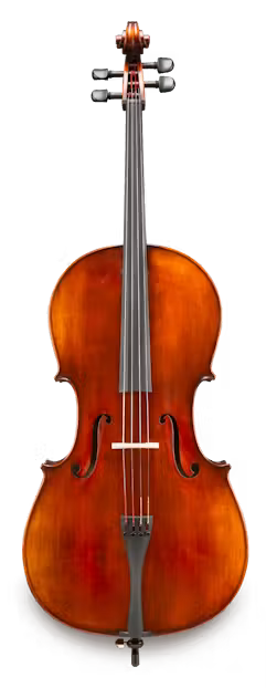 Violoncelle 4/4 Eastman VC305
