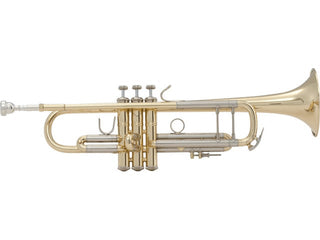 Trompette en Sib Bach 180 Vernie 72