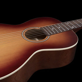 Seagull Acoustic Guitar Entourage Rustic Burst Grand