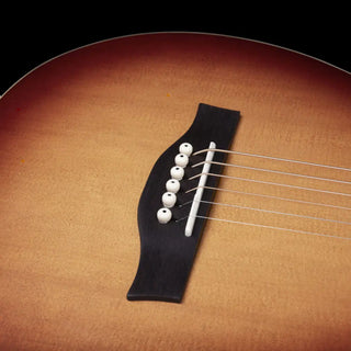 Seagull Acoustic Guitar Entourage Rustic Burst Grand