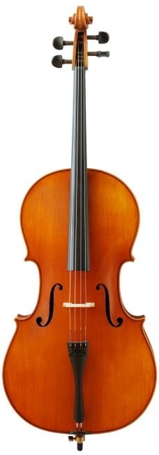 Violoncelle 4/4/ Eastman #200 (Instrument Seul)