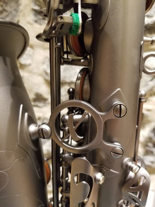 Saxophone Alto Expression Modèle 3 Rémi Bolduc