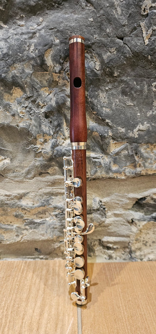 Di-Zhao DZP-301 DEMO Piccolo