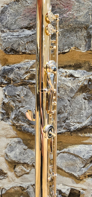 Flûte Usagée Carlton CFL200