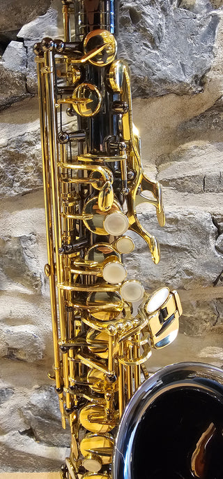 Pre-Owned Expression EXAS-747B Alto Saxophone