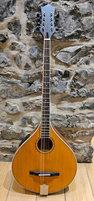 Ultra Bouzouki With Pick-Up