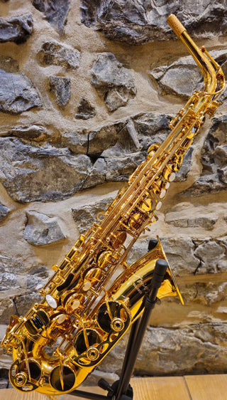 Twigg TAS-1958 Alto Saxophone