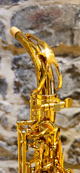 Twigg TAS-1958 Alto Saxophone