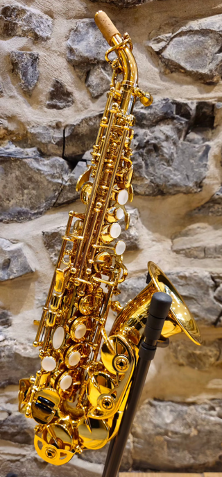 Twigg TSS-1958C Curved Soprano Saxophone