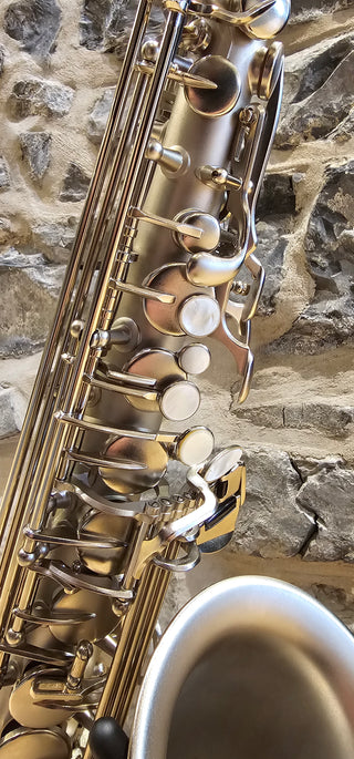 Twigg Signature Remi Bolduc Alto Saxophone