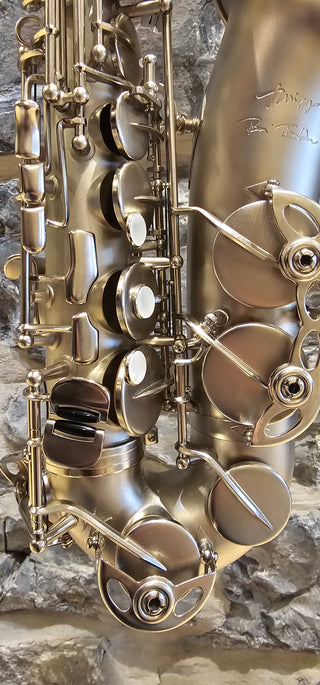 Twigg Signature Remi Bolduc Alto Saxophone