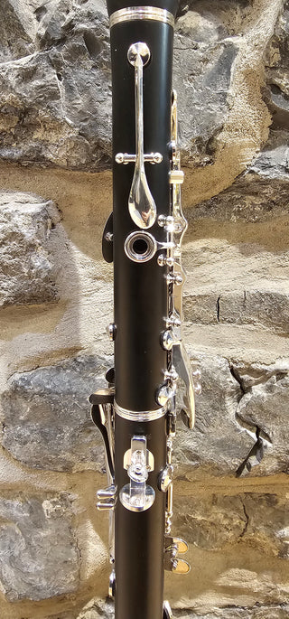 Clarinette Sib. Twigg FB-500