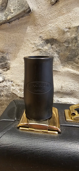 Clarinette Sib Usagée Backun Q Series