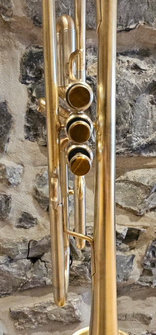 Trompette Sib. Usagée Thane Performance
