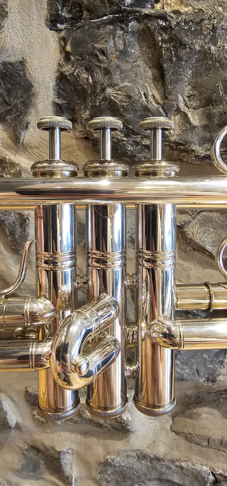 Trompette Sib. Usagée Bach BTR411S 