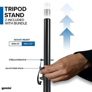 Gemini Dual Speaker PA Package