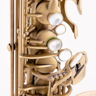 Saxophone Alto CARRERA Brossé
