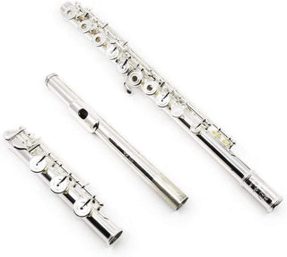 Di Zhao DZ-100 COA Student Flute