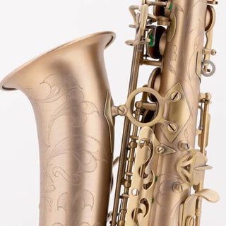 Saxophone Alto CARRERA Brossé