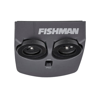 Pick-Up Guitare Acoustique Fishman Matrix Infinity (Narrow Format)