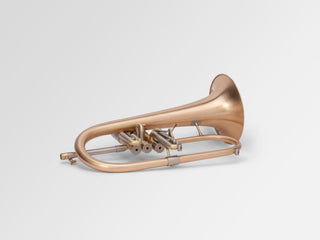 Adams F2 Brushed Laquered Flugelhorn