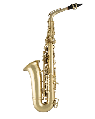 Selmer SAS711 Alto Saxophone