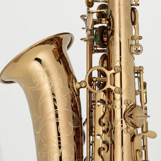 Saxophone Alto CARRERA Verni Foncé