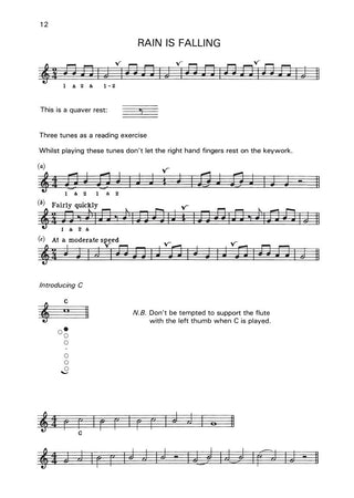 Beginner's Book for the Flute part One