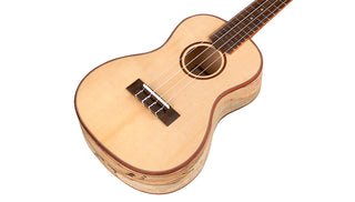 Cordoba 24C Concert Ukulele