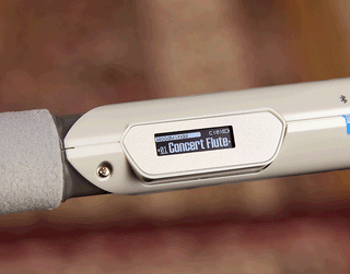 Aerophone Brisa