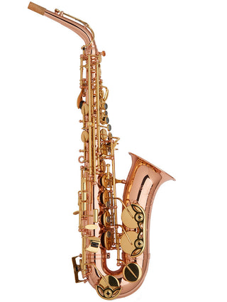 Buffet Crampon Senzo Alto Saxophone