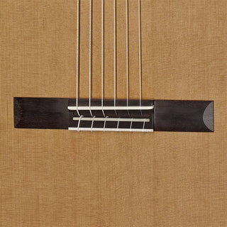 Hanika Natural PC Classical Guitar