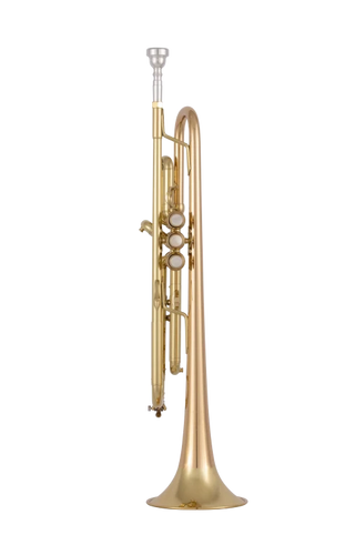 Bach Stradivarius 17043GYR Bb Trumpet