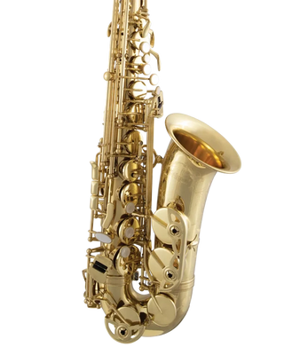 Selmer SAS711 Alto Saxophone