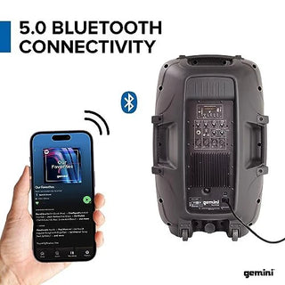 Gemini Dual Speaker PA Package