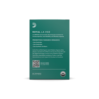 Anches Saxophone Alto La Voz