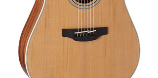 Guitare Acoustique Electrique Takamine GD20CE-NS
