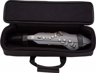 Aerophone Roland AE-05