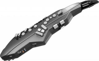 Aerophone Roland AE-05